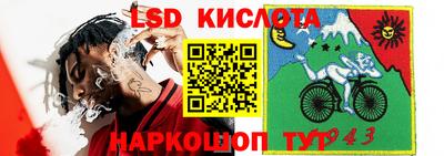 мяу мяу мука Партизанск