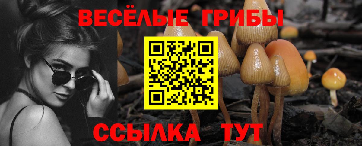 Асбест  Псилоцибиновые грибы ЛСД  даркнет сайт  Псилоцибиновые грибы ЛСД  Вход с VPN 